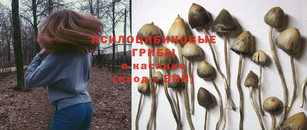 каннабис Богородицк