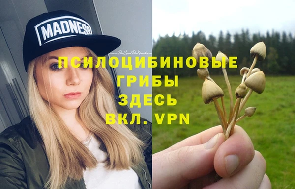 мескалин Белокуриха