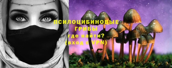 тгк Богородск