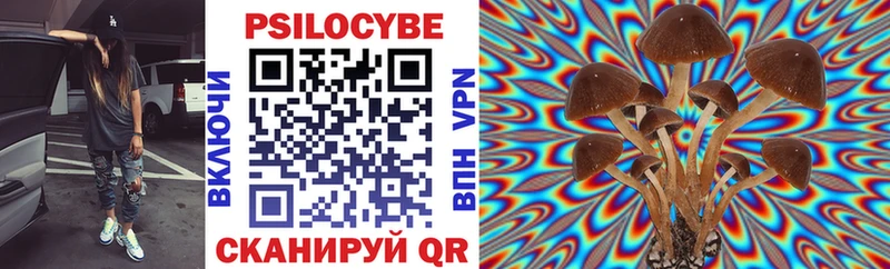 ссылка на мегу вход  Володарск  Псилоцибиновые грибы мухоморы 